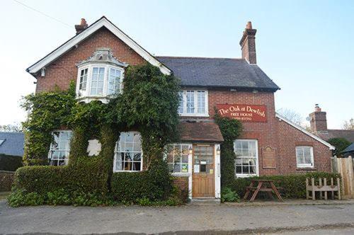 The Oak at Dewlish, United Kingdom