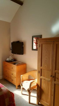 The Oak at Dewlish, Dorchester, United Kingdom