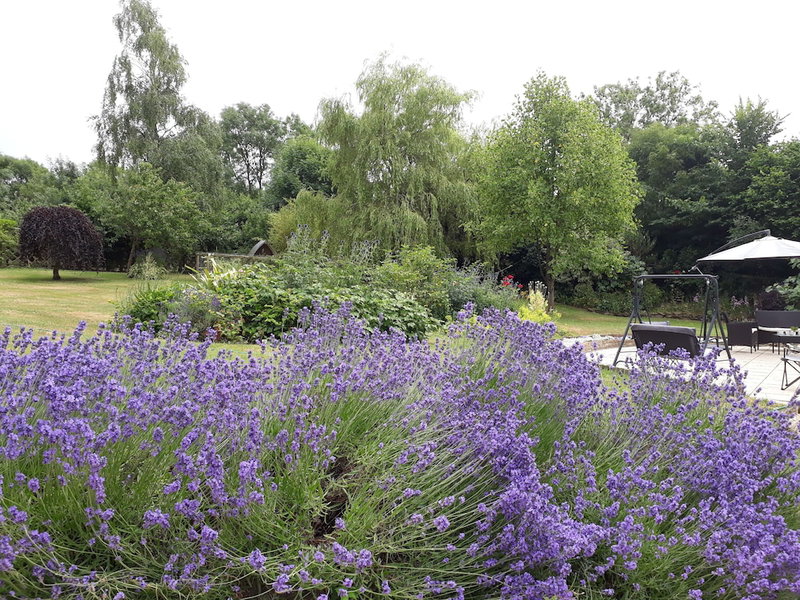 Stoneleigh Barn B&B, Sherborne, United Kingdom