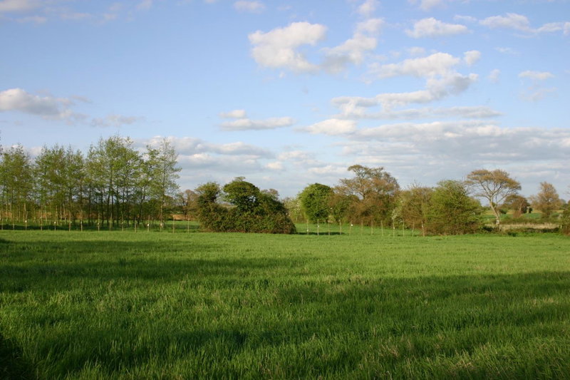 Crouchers Hotel, Chichester, United Kingdom