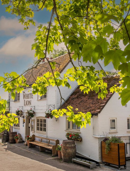 The White Lion, Soberton, Soberton, Vereinigtes Königreich