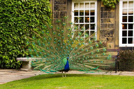 Whitley Hall Hotel, Chapeltown, Vereinigtes Königreich