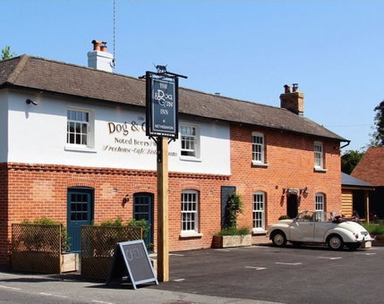 The Dog and Gun, Salisbury, United Kingdom