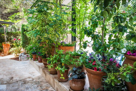 Apartamentos Cala Murada Minigolf, Cala Murada, Spain