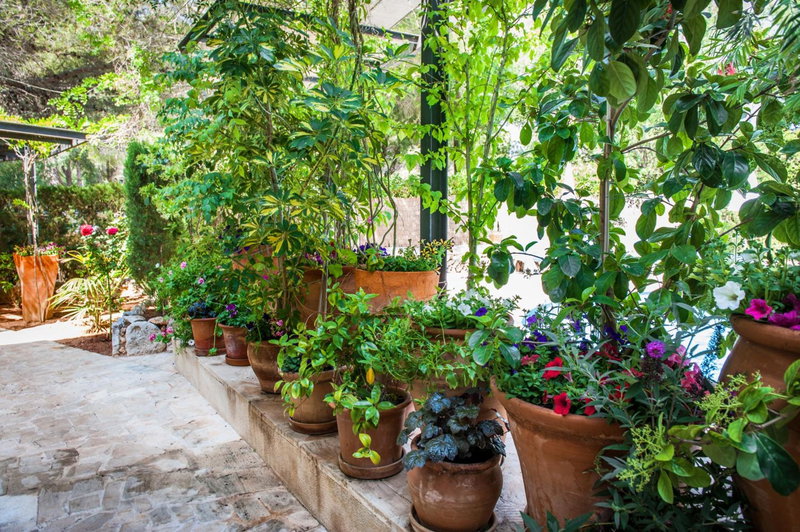 Apartamentos Cala Murada Minigolf, Cala Murada, Spain