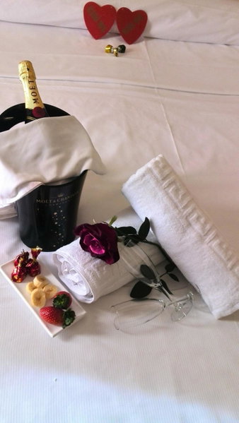 Hotel Humanes, Humanes de Madrid, Spain