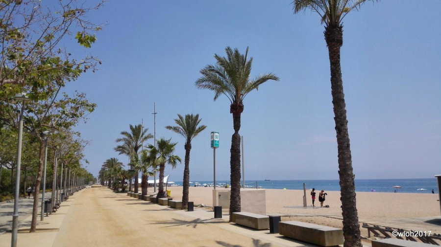 Hotel Oasis Park Splash, Calella, Spain