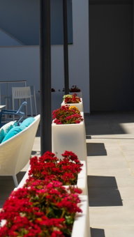 Hotel Playa de la Plata, Zahara de los Atunes, Spain