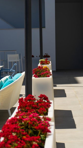 Hotel Playa de la Plata, Zahara de los Atunes, Spain