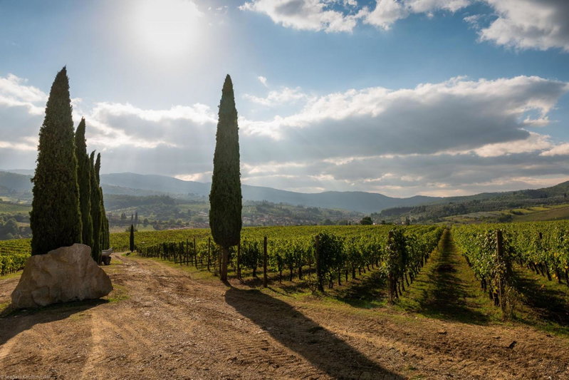 Viticcio, Greve in Chianti, Italy