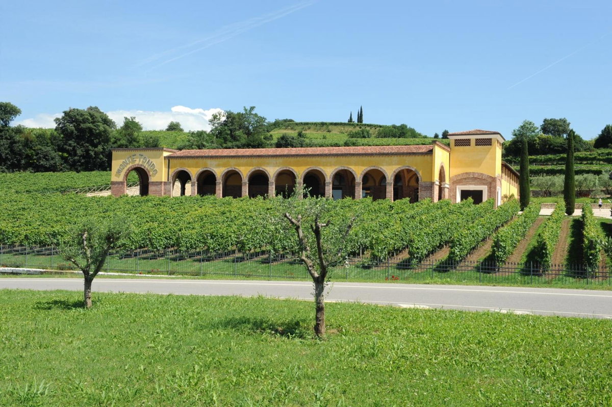 Hotel · Monte Tondo Winery, Soave