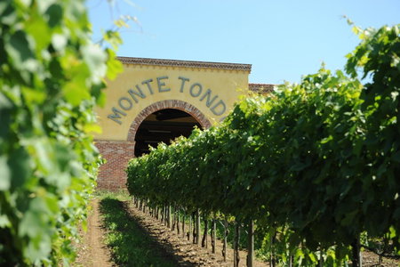 Monte Tondo Winery, Soave, Italy