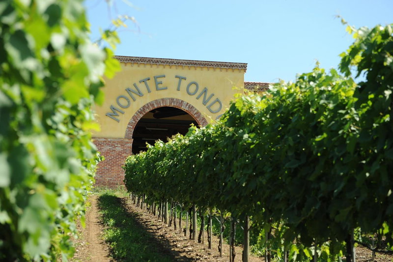 Monte Tondo Winery, Soave, Italy