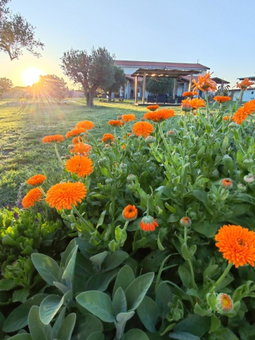 Residence la Pace - Pool & Relax, Marina di Grosseto, Italy