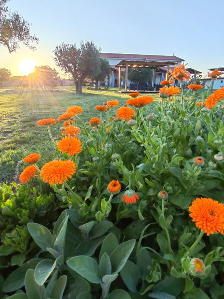 Residence la Pace - Pool & Relax, Marina di Grosseto, Italy
