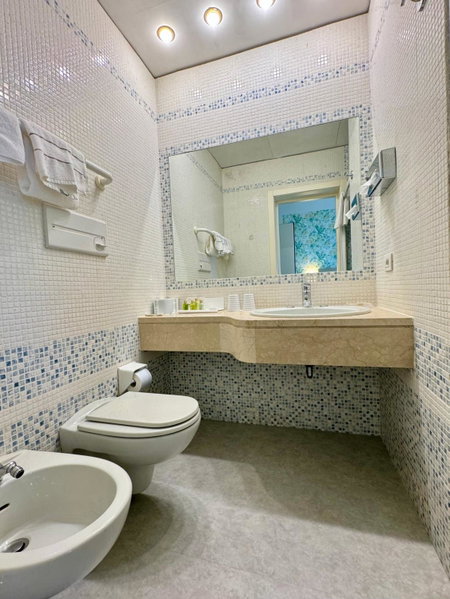Olivi Hotel & Natural Spa, Sirmione, Italy