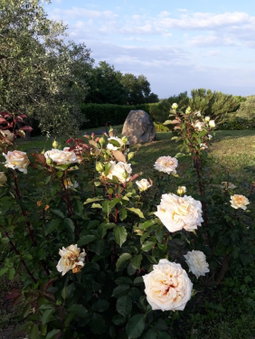 L'Orto sul Poggio, Sutri, Italy