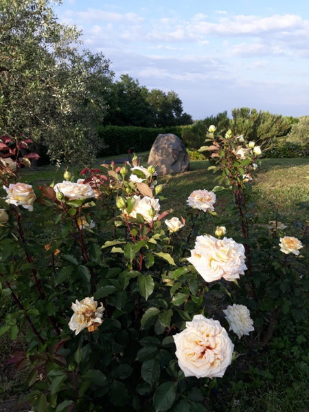 L'Orto sul Poggio, Sutri, Italy