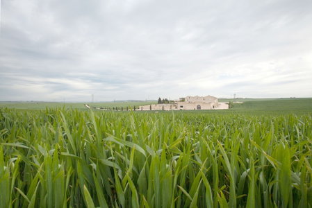 Tenuta Danesi, Matera, Italy