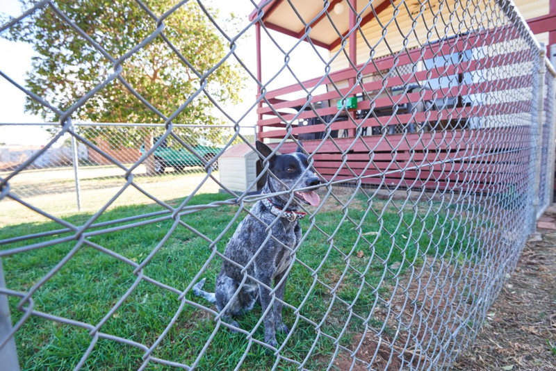 NRMA Dubbo Holiday Park, Dubbo, Australia