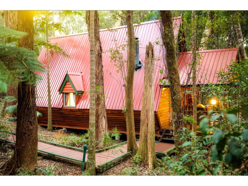 The Mouses House Rainforest Retreat, Robina, Australia