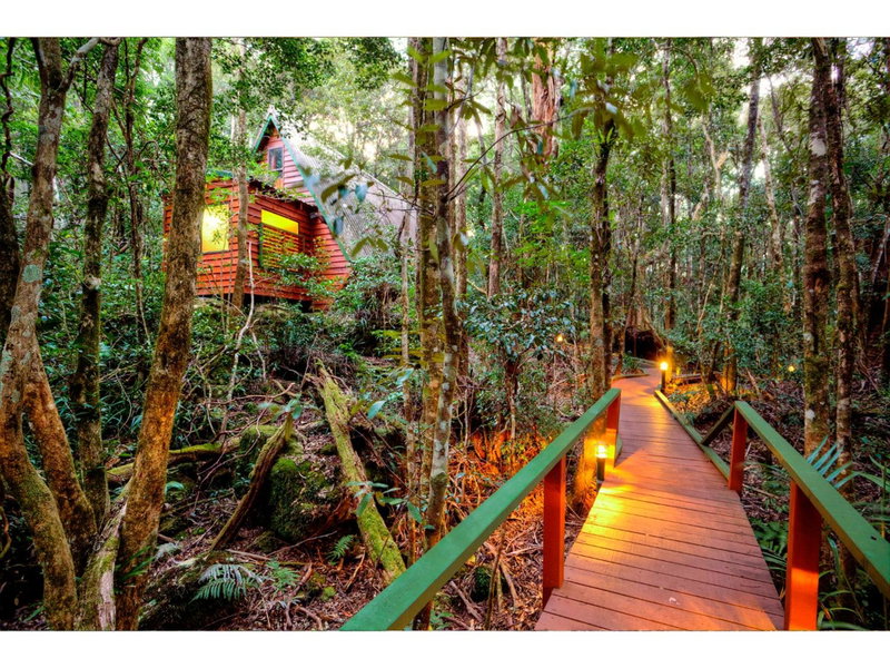 The Mouses House Rainforest Retreat, Robina, Australia