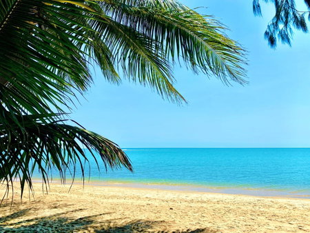 BeachView Apartments at Villa Paradiso, Palm Cove, Australia