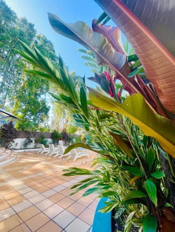 BeachView Apartments at Villa Paradiso, Palm Cove, Australia