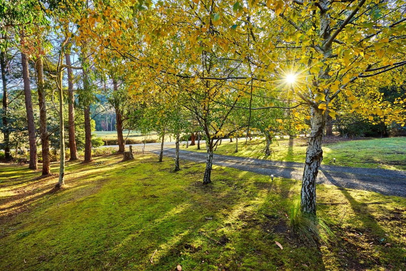 Oyster Cove Chalet, Kettering, Australia