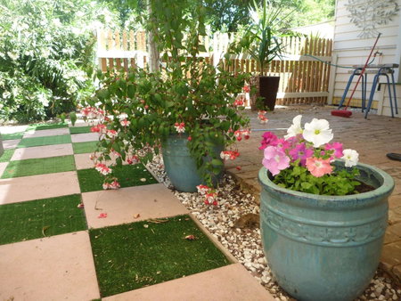 Must Love Dogs B&B & Self Contained Cottage, Rutherglen, Australia