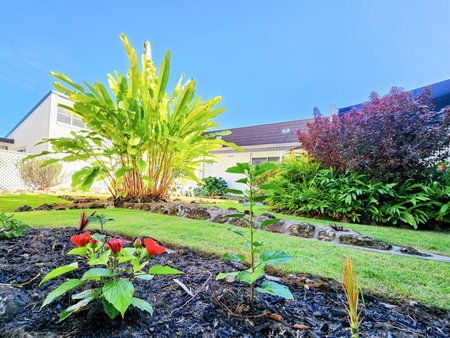 The Stella, Yamba, Australia