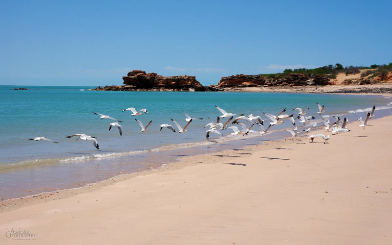 Apartments at Blue Seas Resort, Broome, Australia