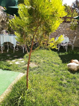 Ahşena Bağ Badeli Konak Safranbolu, Safranbolu, Turkey
