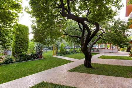 Gurel Garden House, Ayvacik, Turkey