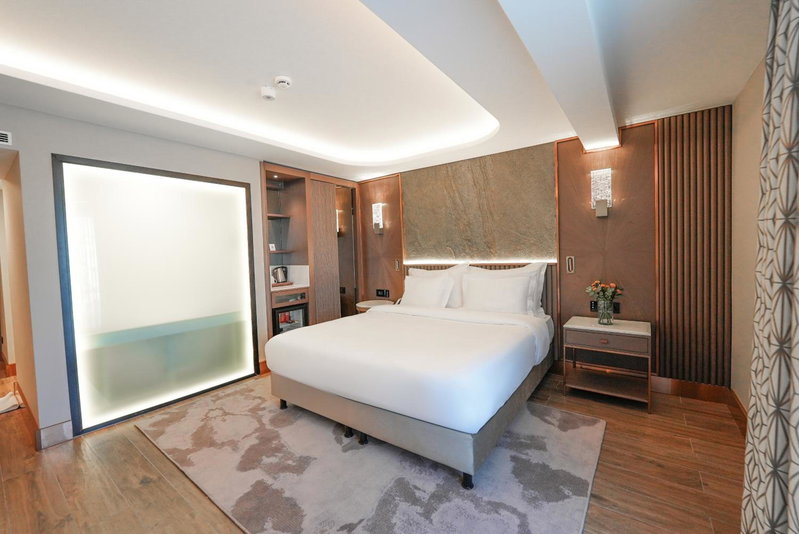 Boreas Hotel & SPA, Trademark Collection by Wyndham, Ankara, Turkey