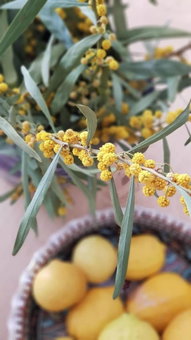Peremere Alacati Otel, Alacati, Turkey