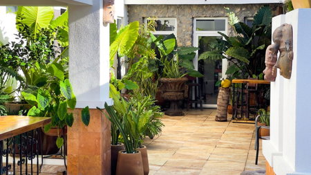 Quinta Alberto Boutique Hotel, San Blas, Mexico