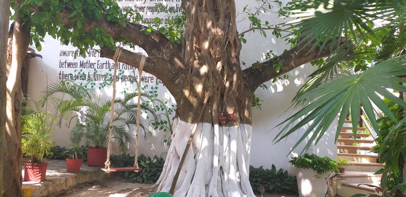 Posada Sian Kaan Playa del Carmen - Wellness Oriented Hotel, Playa del Carmen, Mexico
