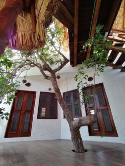 Casa Mech, Holbox Island, Mexico