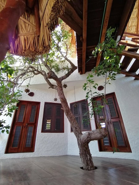Casa Mech, Holbox Island, Mexico