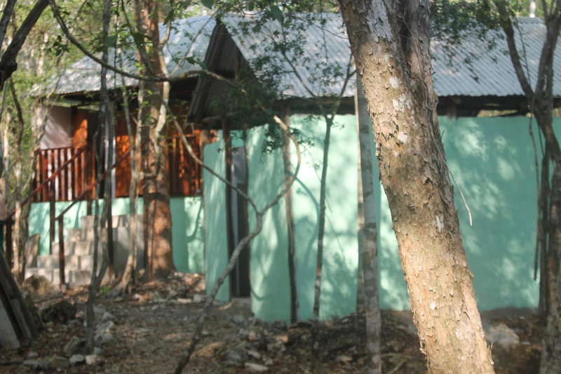 Campamento Yaax Che en Calakmul, Conhuas, Mexico