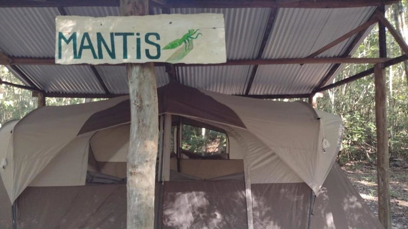 Campamento Yaax Che en Calakmul, Conhuas, Mexico