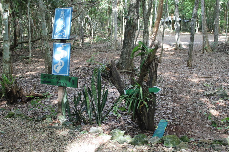 Campamento Yaax Che en Calakmul, Conhuas, Mexico