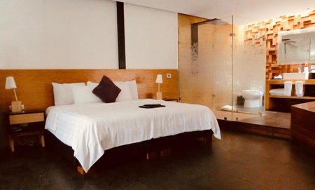 Hotel Boutique MO17, Querétaro, Mexico