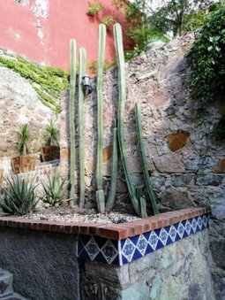 Casita Privada del Chan, Guanajuato, Mexico