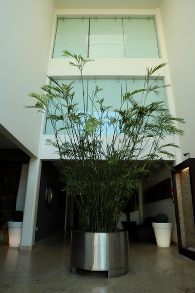 Homesuites Rotarismo, Culiacán, Mexico