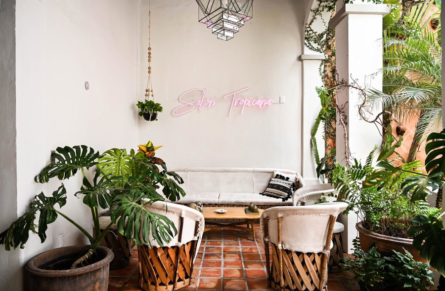 Casa Blanco by Barrio Mexico, Guadalajara, Mexico