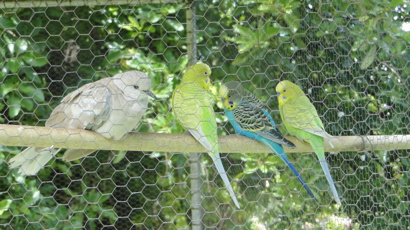 Pousada Tia Nena, Olímpia, Brazil