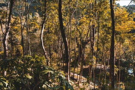 Pousada Solar d'Araucária, Gonçalves, Brazil