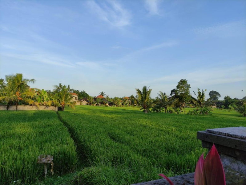 Anggarakasih Ubud Villa, Ubud, Indonesia